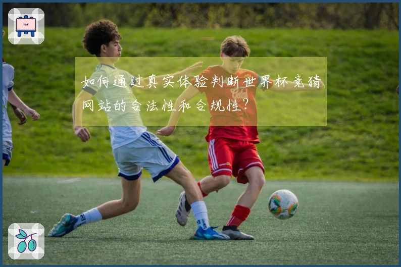 如何通过真实体验判断世界杯竞猜网站的合法性和合规性？