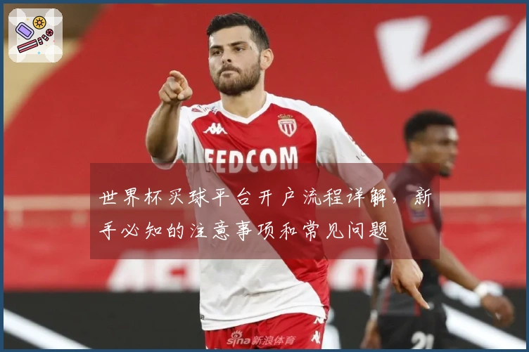 世界杯买球平台开户流程详解，新手必知的注意事项和常见问题