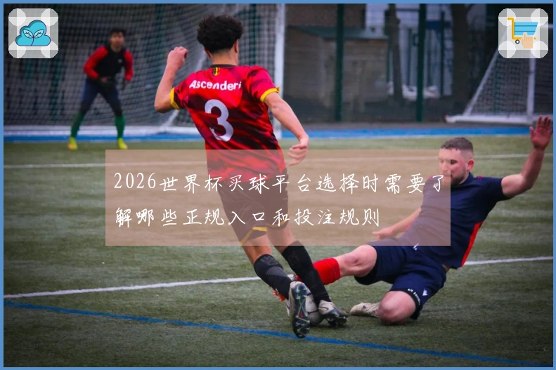 2026世界杯买球平台选择时需要了解哪些正规入口和投注规则